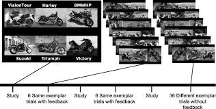 View scott pearson's profile on linkedin, the world's largest professional community. The Vanderbilt Expertise Test Reveals Domain General And Domain Specific Sex Effects In Object Recognition Sciencedirect