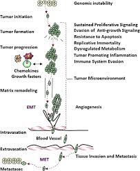It's rare, but this disease can start in your appendix. Designing A Broad Spectrum Integrative Approach For Cancer Prevention And Treatment Sciencedirect