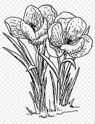 If you want clipart with photos of flowers, either as a whole picture or with the flower cut out from the background, there are other pages for. Flower Plants With Flowers Drawing Free Transparent Png Clipart Images Download