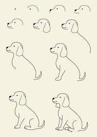 A dachshund has quite different dimensions from a if you're drawing a portrait of a specific dog, try to find as many reference photos as you can to get a sense of the dog's personality. How To Draw A Dog Step By Step Dog Drawing Tutorials Artisticaly Inspect The Artist Inside You