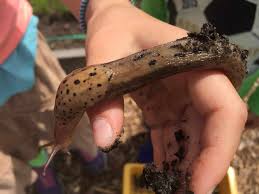 With such an insect hotel, each one of us can do something for nature and help the insects whose habitats are being increasingly restricted by. How To Build A Bug Hotel With Kids