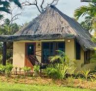 🌺 What is a Fijian bure? 🌺 If you've seen “bure ...