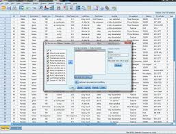 Recode Into Different Variable How To Split Variables Graphing