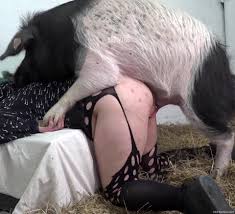 Green-haired hottie decides to fuck a pretty pig