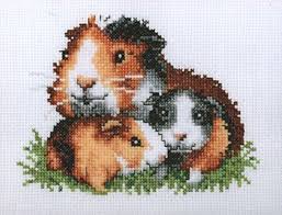 Pig cross stitch pattern pdf instant download snow cross stitch animal cross stitch cute cross stitch winter cross stitch christmas xstitch snowfall counted cross stitch pattern. Pako Guinea Pigs Cross Stitch Kit 13cm X 17cm