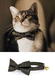 Our New Cameo Art Deco Style Black Gold Cat Collar Options Include The Matching Removable Bow Tie As S Art Deco Fashion Gold Flowers Cat Accessories