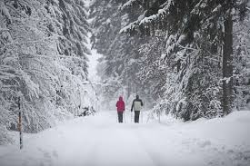 Vorsicht an der bahnsteigkante/bei der abfahrt des zuges! Keine Entspannung Der Lage Noch Mehr Schnee In Baden Wurttemberg Vorhergesagt Region Land Schwarzwalder Bote