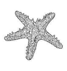 We did not find results for: Starfish Mandala Vector Images 33