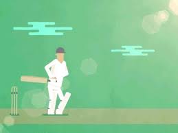 I Don T Like Cricket Motion Graphics Tutorial Animated Characters Illustration Character Design