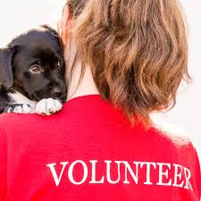(you can also volunteer more than six hours a month. Volunteer Program