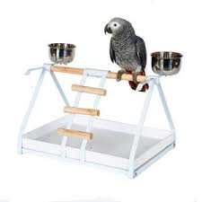 Get unique & personalized stationery. Kookaburra Tabletop Parrot Play Stand In White The Bird Loft