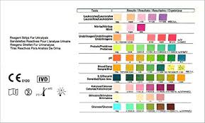 Health Test For 10 Indicators 100 Urine Tests With Reference Color Chart