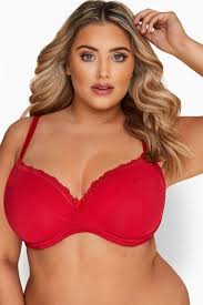 The red bra project was created with an intention to serve as a platform to celebrate her, in many. Bugel Bh Mit Spitze Rot Yours Clothing