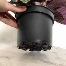 To use plant pots without drainage holes. How To Plant In Pots Without Drainage Holes 4 Simple Solutions My Tasteful Space