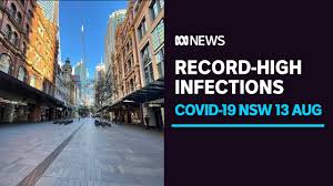 Nsw police commissioner mick fuller called it embarrassing, and said, it's difficult to legislate against idiots. Xldryhlwgqy8rm