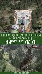 Maybe you would like to learn more about one of these? Cbd Oil For Dogs