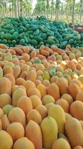Pin On Fruits Frutas