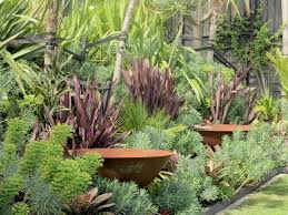 Trish Bartleet Garden Garden Ideas Nz Native Garden Foliage Plants