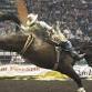 Adirondack Stampede Charity Rodeo event image