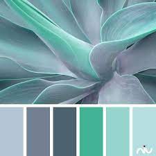 Paint Colors Palette Color