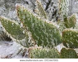 We are a team of young growers; Shutterstock Puzzlepix