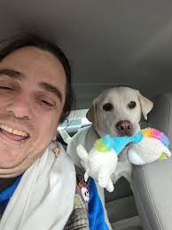 Toys in kitchen dragged out by toddler