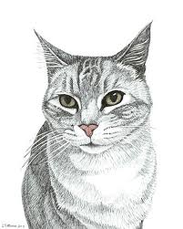 5 out of 5 stars. Simple Cat Sketches Google Search Art Drawings Cute766