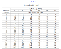 Portable Sawmill Finder International Log Scale