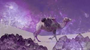 The camel toe may catch you off guard and in that case you can really feel sorry about yourself. Camel Symbolism Auntyflo Com