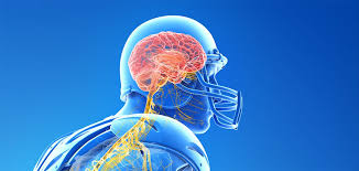 Image result for Concussion