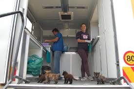 Mobile pet spa is a mobile dog grooming business providing mobile pet grooming services to the los angeles area. Reports On Support For Have A Heart Mobile Spay Neuter Clinic Globalgiving
