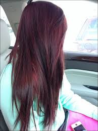 Midhair Com Plum Hair Beautiful Hair Color Dark Red Hair Color