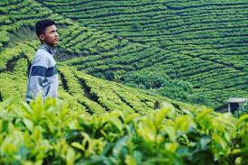 04.02.2019 · anak pramuka di kebun sawit date: Inilah Daftar 10 Tempat Wisata Bogor 2018 Htm Dan Lokasi