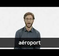 English Translation of “AÉROPORT” | Collins French-English ...