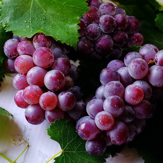 Resveratrol