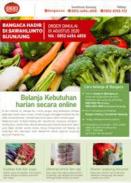 Di artikel kali ini, saya ingin merekomendasikan salah goto hardware merupakan salah satu toko online yang nggak hanya menjual kebutuhan rumah tangga, tapi juga kebutuhan. Bangaca Co Abang Sayur Jaman Now Penyedia Jasa Kebutuhan Dapur Anda Tribun Sumbar