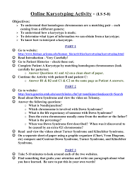 This is the human karyotyping student exploration document translated into french explore learning gizmo answer key human karyotyping. Online Karyotyping Activity