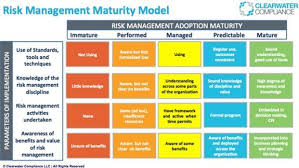 Risk Management Maturity Model Risk Management Risk Analysis Business Management Degree