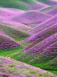 Pin On Awesome Views