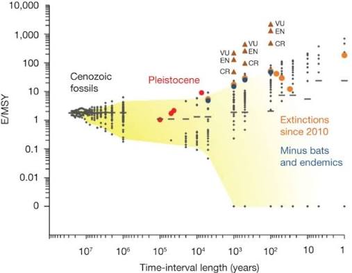 Has the Earth's sixth mass extinction already arrived? | Nature