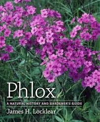 For the mirror universe counterpart, please see phlox (mirror). Phlox A Natural History And Gardener S Guide Amazon De Locklear James H Fremdsprachige Bucher