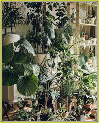 Horticulture Tips For The Best Bountiful Harvest Simple Garden Ideas Plant Aesthetic Plants Unusual Plants