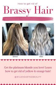 These toning solutions are not likely to get rid of strong orange tones. Platinum Hair Blonde Hair How To Get Rid Of Brassy Hair How To Get Rid Of Blonde In 2020 Brassy Hair Brassy Blonde Hair Yellow Blonde Hair