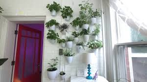 Need plants for your planters? Best Indoor Wall Planters Youtube