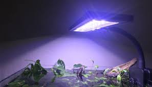 Fish Tank Lighting What Is Par Zenaquaria