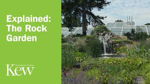 We did not find results for: Explained The Rock Garden Youtube