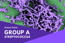 Image result for Group D Streptococcus