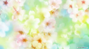 Free Flowers Wallpapers Wallpaper Cave Best hd wallpapers of flowers, desktop backgrounds for pc & mac, laptop, tablet, mobile phone. free flowers wallpapers wallpaper cave