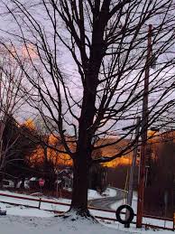 Hi all! I just wanted to introduce myself and share a photo I took