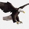 We did not find results for: Https Encrypted Tbn0 Gstatic Com Images Q Tbn And9gctxcmitb Nnutbarpbwk7skeimmkamxhlf52njvrevunmfzc5qb Usqp Cau